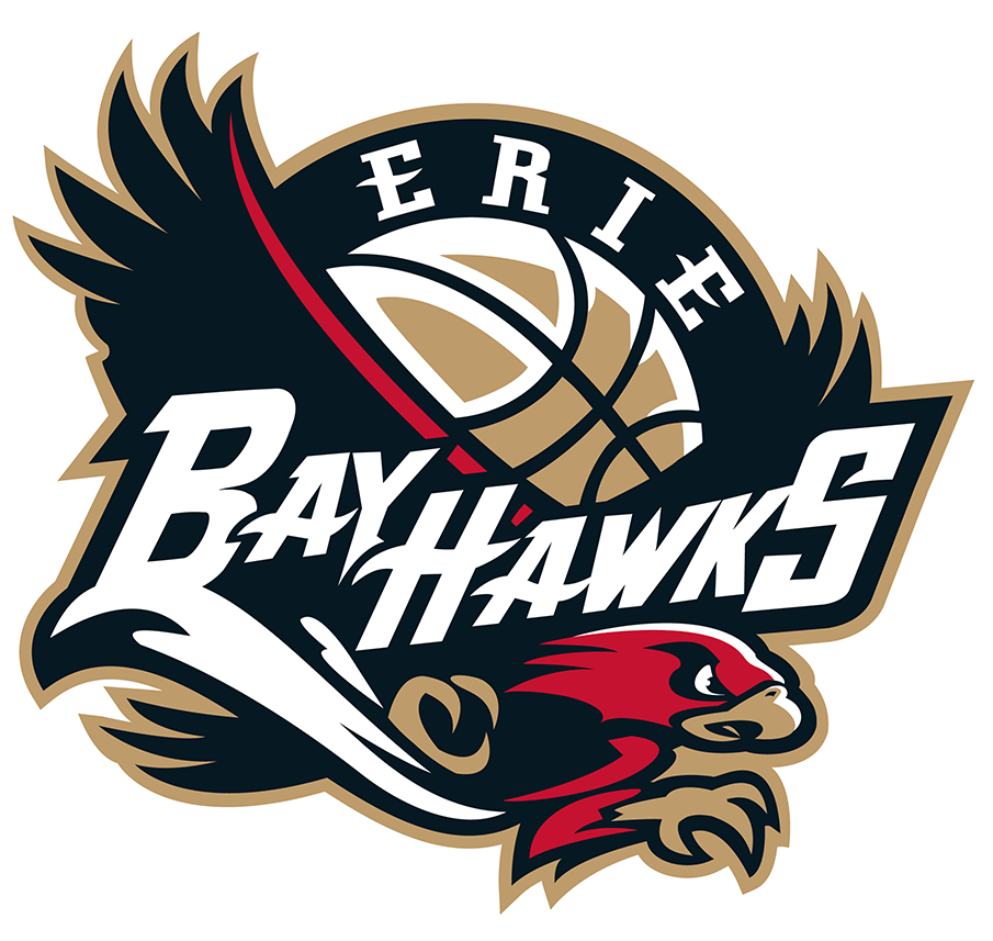 Erie BayHawks 2019-Pres Primary Logo iron on transfers for clothing